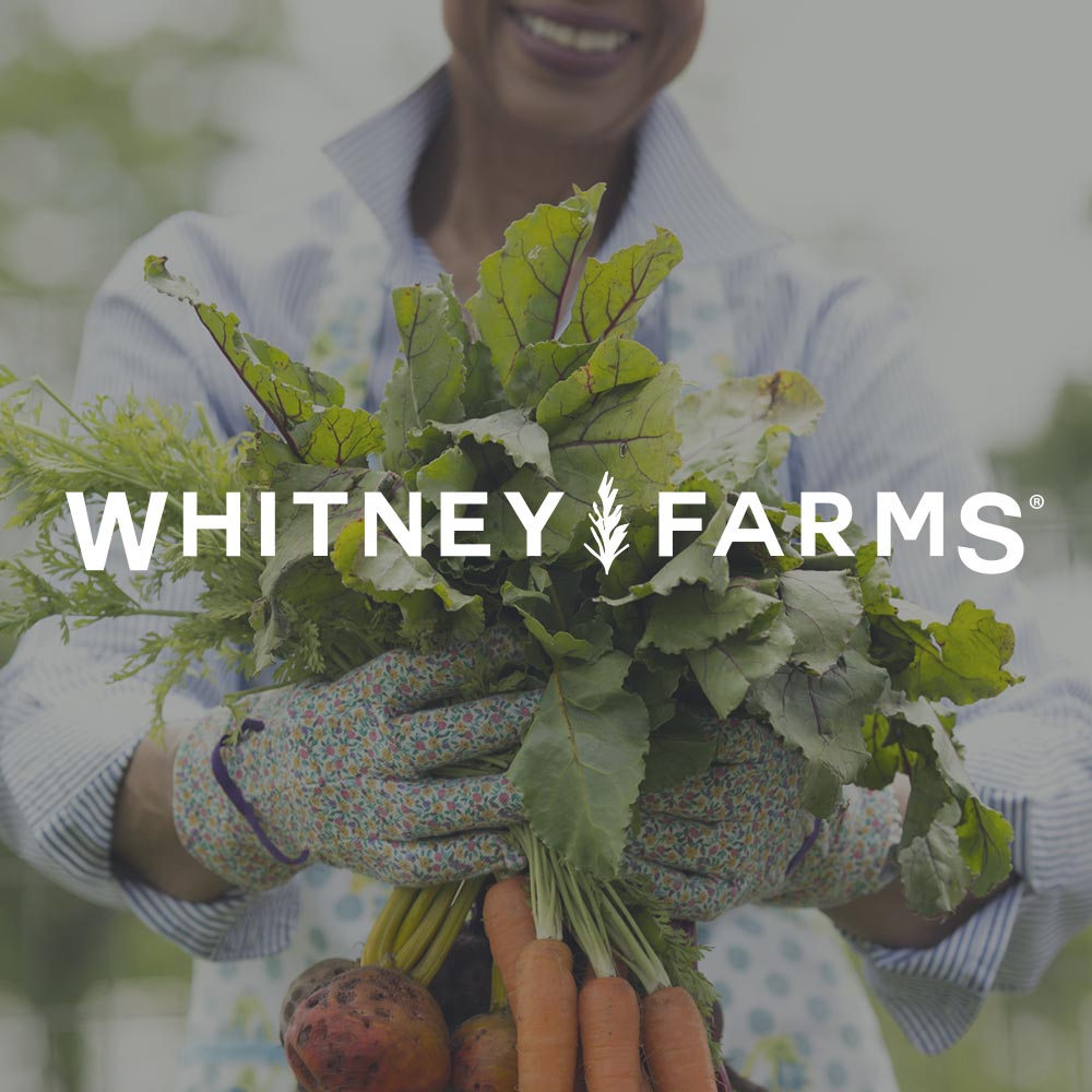Whitney Farms